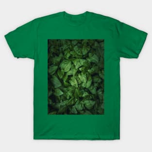 green leaves texture T-Shirt